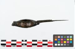 Foto von Bronzekahnfibel (NHMW-PRAE-025967)